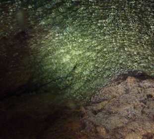 Höhlensystem der Cenote