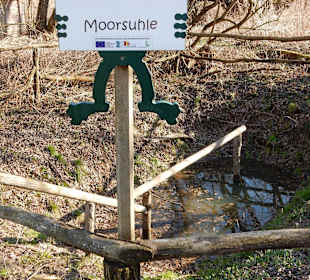 Moorsuhle