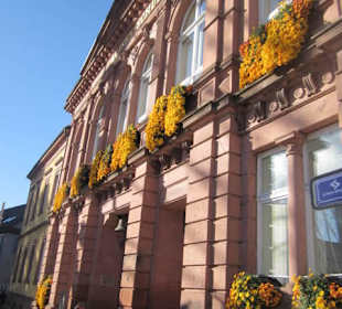 Chrysanthema Lahr