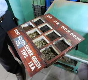 Rundreise mit Tikka Tours Juni 2012