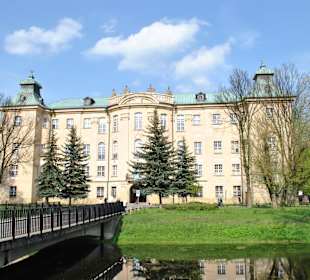 Zamek wraz z mostem nad fosą.