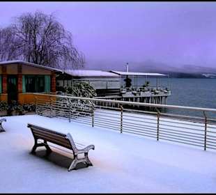 Una rarità: la neve.