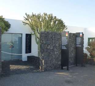 Fundacion Cesar Manrique