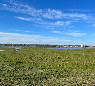 Naturschutzgebiet Graswarder