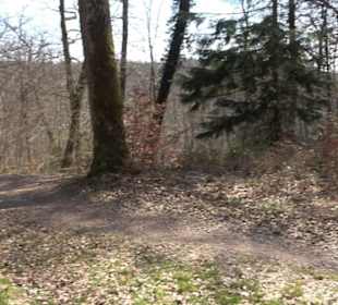 Geologischer Lehrpfad Kirnbachtal