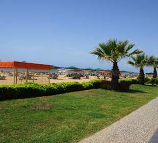 Kamelya Strandabschnitt