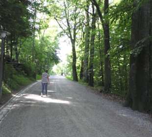 Uetliberg
