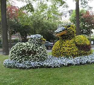 Blumenpracht entlang der Brunnenallee