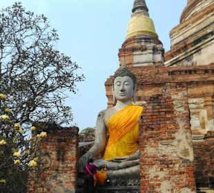 Wat Yai Chai Mongkon