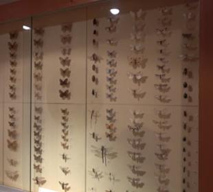 Heimatmuseum Oberstdorf