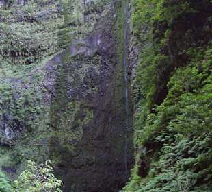 Im Caldoeiro Verde 