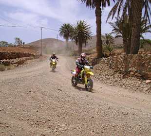 Bild vom Card Partner