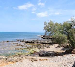 Colonia de Sant Pere