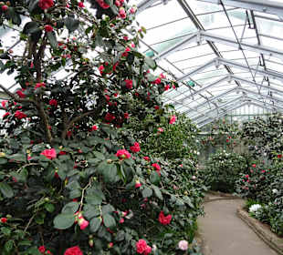 Wilhelma Stuttgart