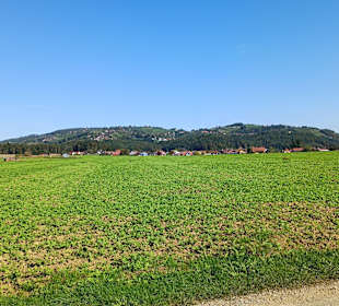 Richtung Theresienhügel Sausal