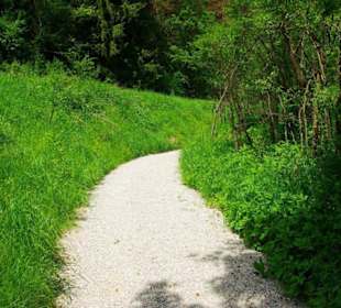 Wanderung zum Bärenfels