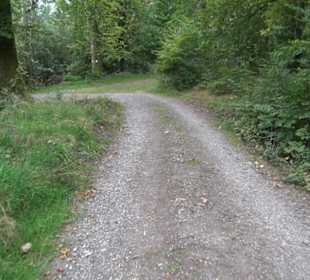 Altwege Rundwanderung Bebenhausen