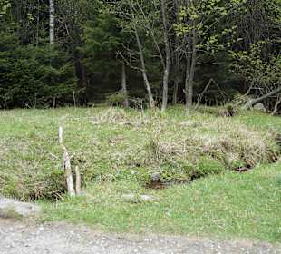 Berg Schneekoppe/Śnieżka
