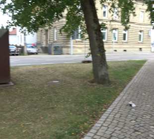 Skulpturenpfad Jerg Ratgeb