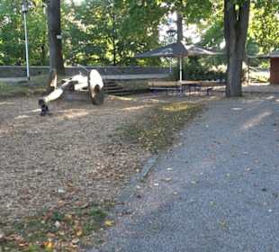 Ritterspielplatz Burghalde