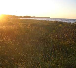Der Strand mit Düne