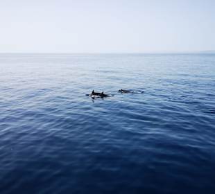 Schnorcheln Hurghada