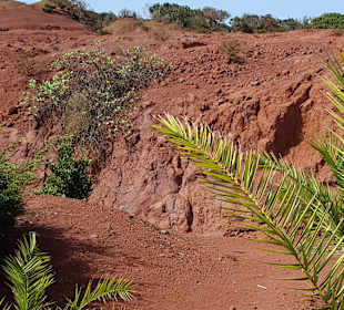 Wandern Teneriffa Kreaktiv Costa Adeje
