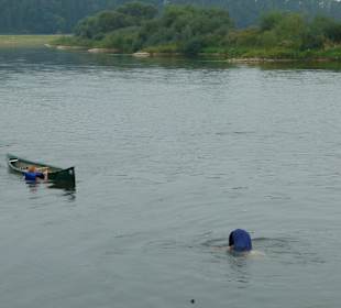 Leider das Gleichgewicht verloren !