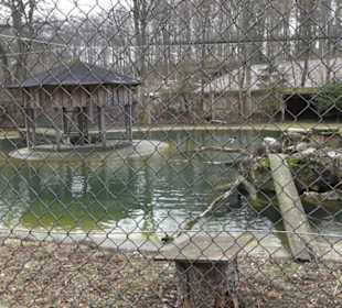 Wildpark Eichert