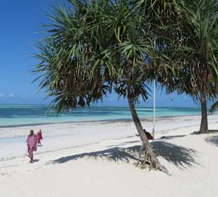 Strand Hotel Neptune Pwani Beach