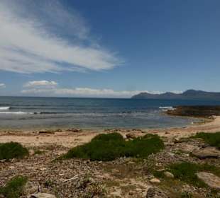 Strand vor den Dunes de Son Real