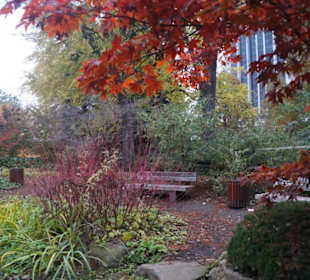 Parkanlage Planten un Blomen