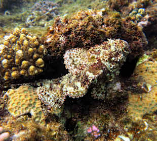 Am Sdriff vorne am Strand