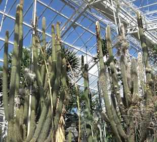 Gewächshäuser Botanischer Garten