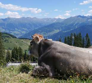 Wandern in Serfaus-Fiss-Ladis 