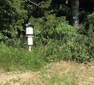 Waldameisen-LehrPfad