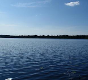 Lammunjärvi 