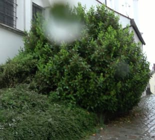 Ehemaliges Augustiner Chorherrenstift St. Peter