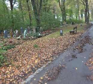 Waldfriedhof