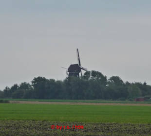 Die Mühle  - schon von weiten gut sichtbar