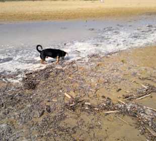 Jeder Quadratzentimeter muss untersucht werden