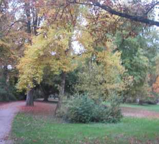 Altstadt Speyer Park am Dom
