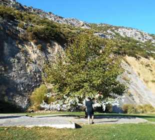 Marienstatue an der Straße nach Ephesos