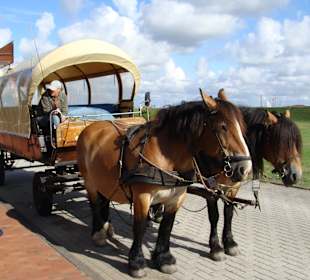 Juists Hauptfortbewegungsmittel