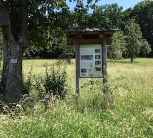 Eduard Lucas Musterobstgarten Mähringen