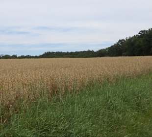 Sonnenaufgangs-Rundwanderung Rübgarten