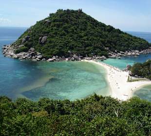 Ko Tao die Schildkröten Insel