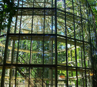 Kamelie und Orangerie 