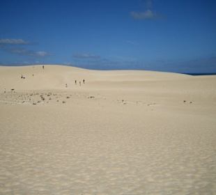Dünen von Corralejo