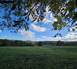 Sonniger Tag im Herbst